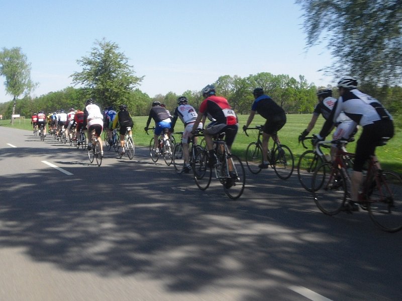 RTF Celle 2011 Manfred 102